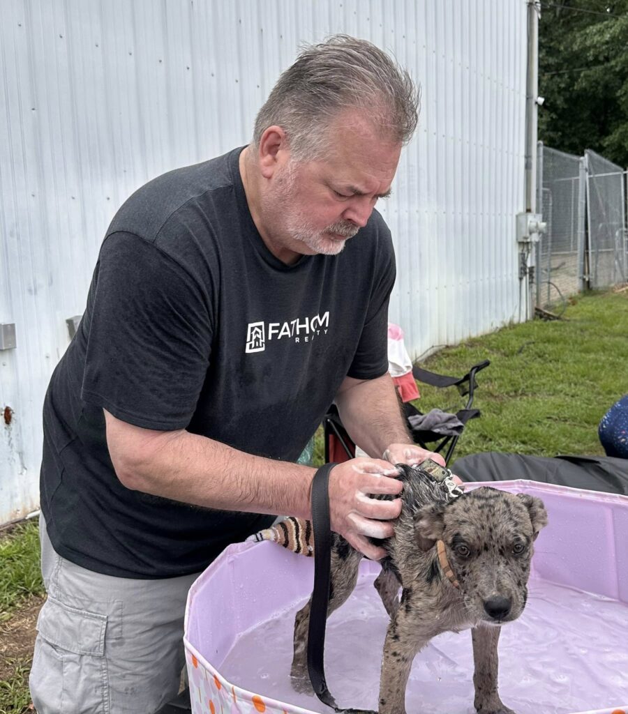 Final Victory Animal Rescue 3